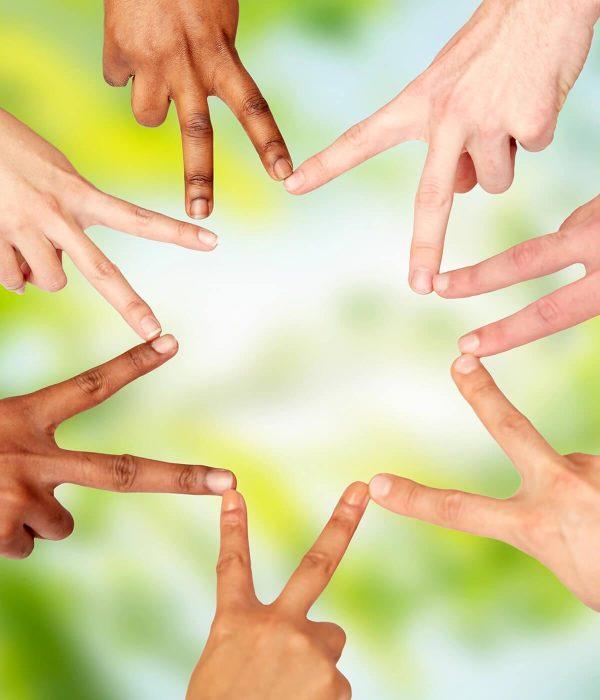 SEW Group <span>Somatic Emotional Witnessing</span> (Copy)
